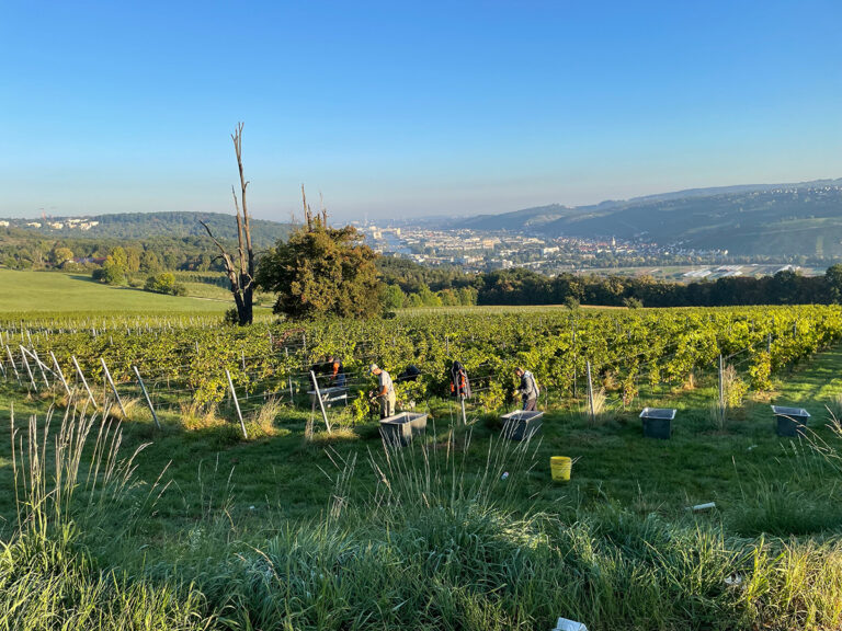 Besuch des IBA’27 Projekts »Biohof Domäne Weil« in Ostfildern